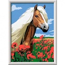 CREART CABALLO HAFLINGER