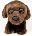 PELUCHE LABRADOR CHOCOLATE 21