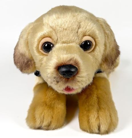 PELUCHE LABRADOR CANELA 21