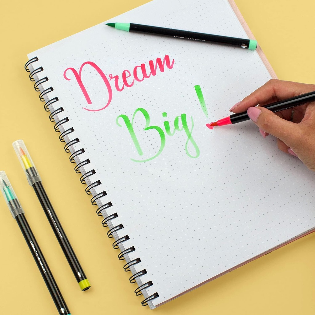 ROTULADORES PUNTA PINCEL(12)