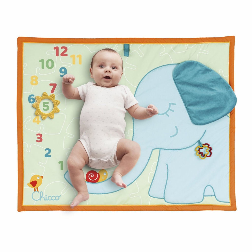 ALFOMBRA FOTOGRAFICA MENSUAL