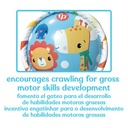 BABY ROLLER FISHER PRICE