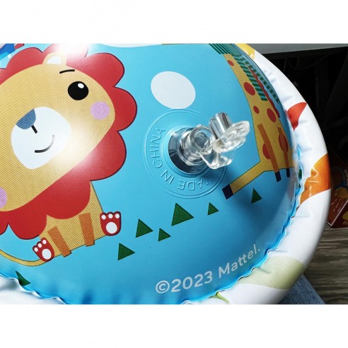 BABY ROLLER FISHER PRICE