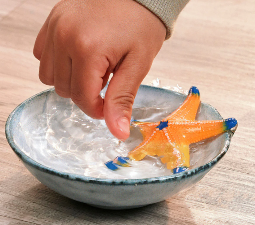 ESTRELLA DE MAR CAMBIO DE COLOR