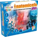 ANATOMICEFA PLUS