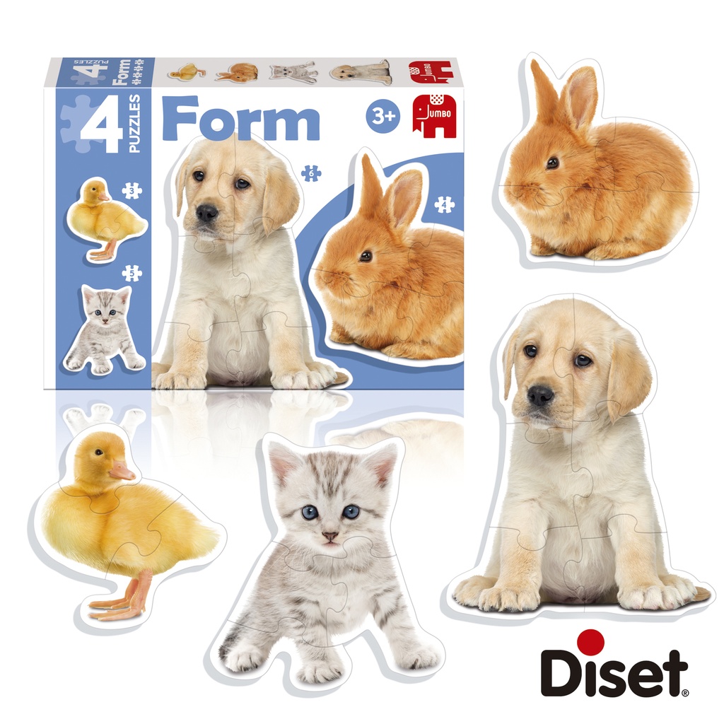 FORM PHOTO
