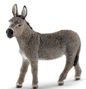 BURRO