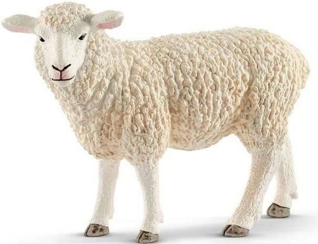 OVEJA
