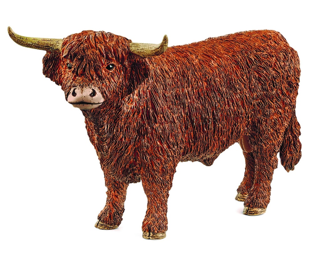 TORO DE LAS TIERRAS ALTAS