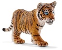CACHORRO TIGRE
