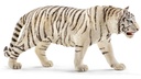 TIGRE BLANCO