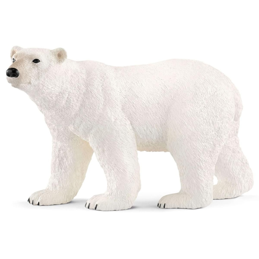OSO POLAR