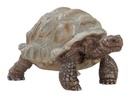 TORTUGA GIGANTE