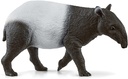 TAPIR