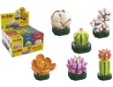CUBIX PLANTAS SUCULENTAS 15 P.