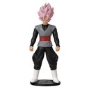 DRAGON BALL FLASH-GOKU BLACK R