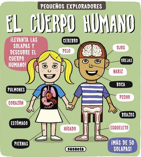 EL CUERPO HUMANO