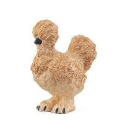 GALLINA SILKIE