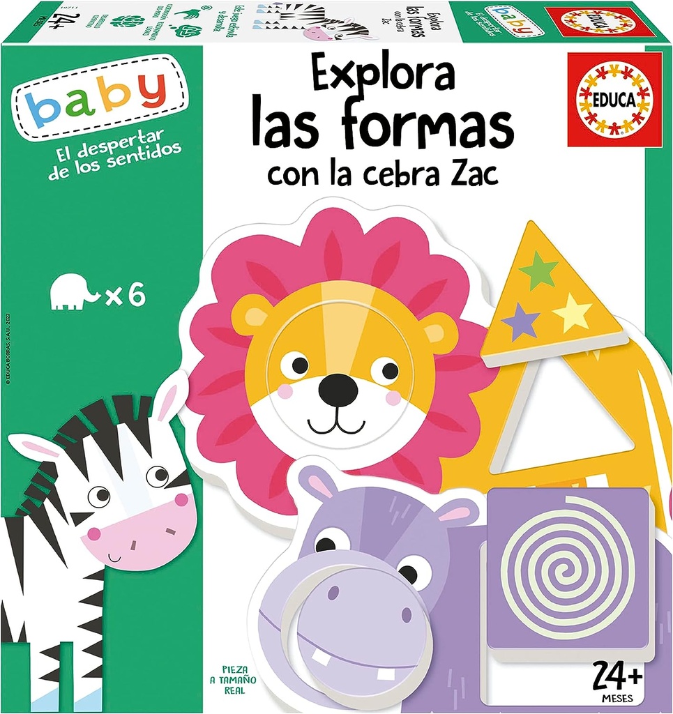 EXPLORA LAS FORMAS