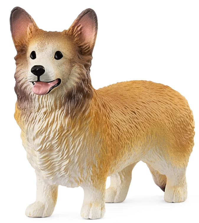 CORGI GALES