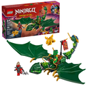 DRAGON VERDE BOSQUE LLOYD