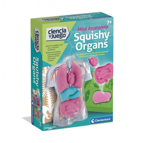 ANATOMIA SQUISHY ORGANS