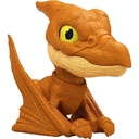 J.W. PTERANODON LITTLE BITER