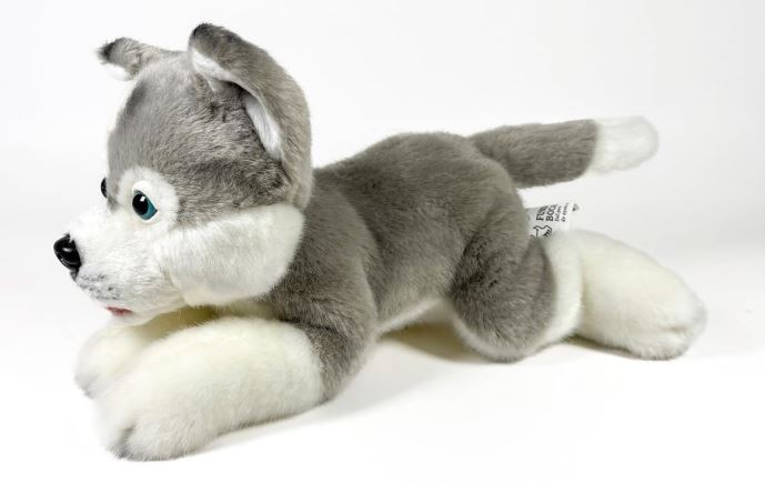 PELUCHE HUSKY TUMB. 25 CM.