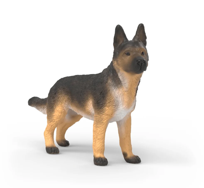 PASTOR ALEMAN HEMBRA