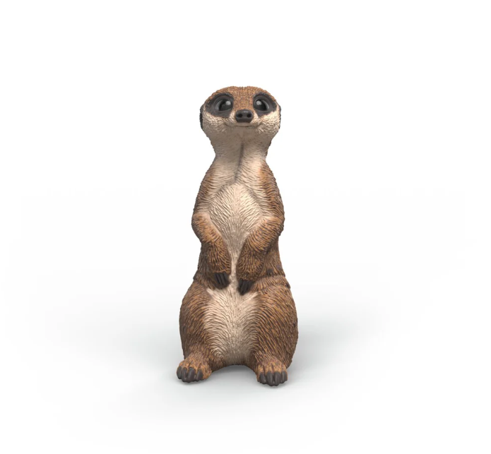 SURICATA