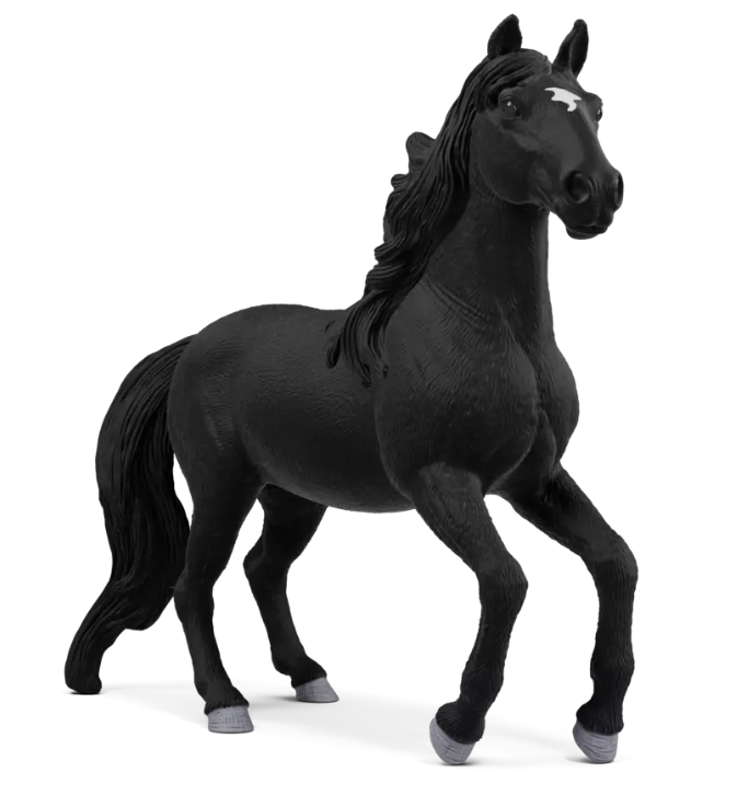 CABALLO LUSITANO SEMENTAL