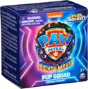 PAW PATROL FIG.PUP SQUAD SURT.