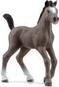 POTRO DE SELLE FRANCES