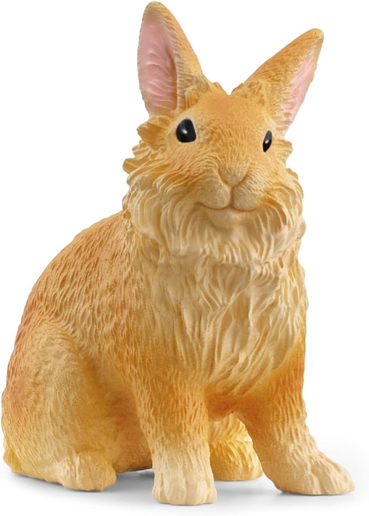CONEJO CABEZA DE LEON