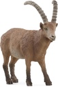CABRA MONTESA
