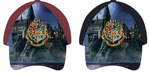 [06310461] GORRA HARRY POTTER T.52-54