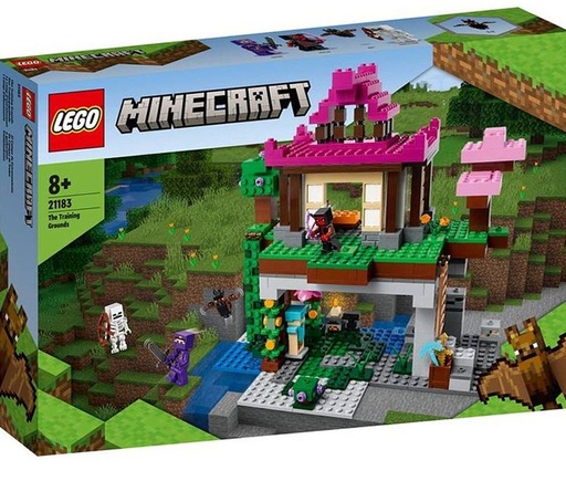 [22521183] CAMPO ENTRENAMIENTO MINECRAFT