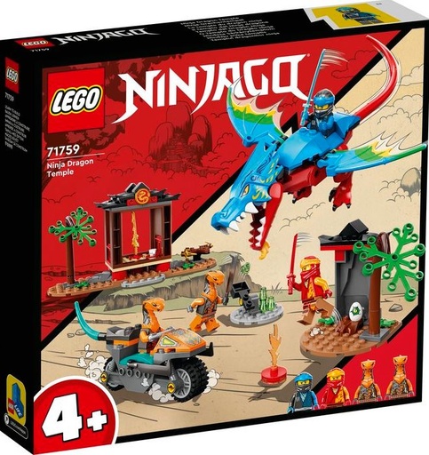 [22571759] TEMPLO DRAGON NINJA