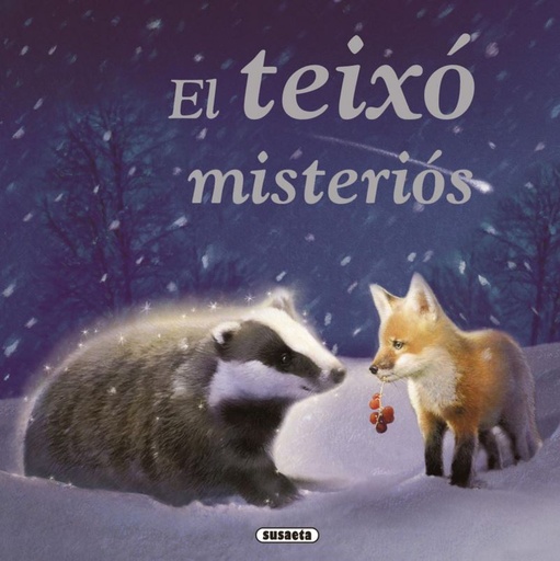 [53571583] EL TEIXO MISTERIOS