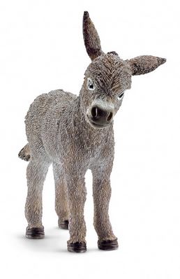 [66913746] BORRIQUILLO