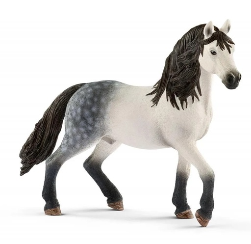 [66913821] SEMENTAL ANDALUZ