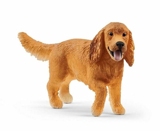 [66913896] COCKER SPANIEL INGLES