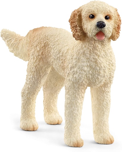 [66913939] PERRO GOLDENDOODLE