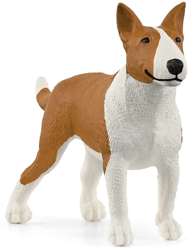 [66913966] BULL TERRIER