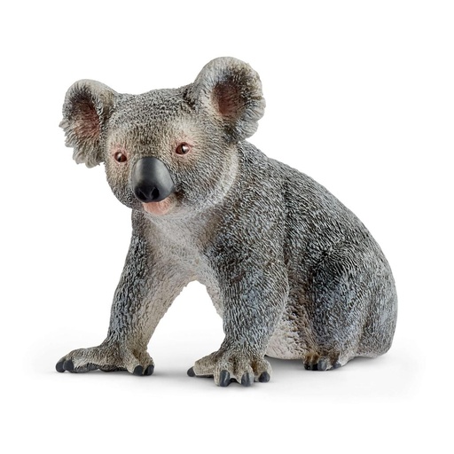 [66914815] KOALA MACHO