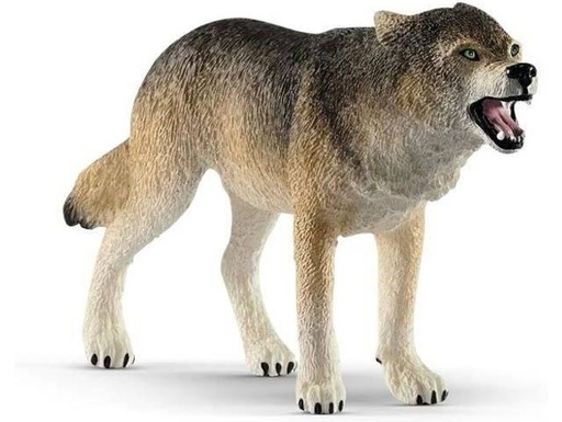 [66914821] LOBO