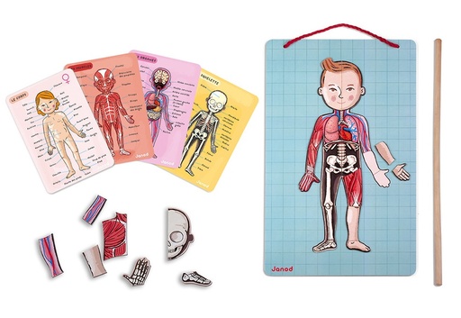 [73535491] BODYMAGNET EN 12 IDIOMAS