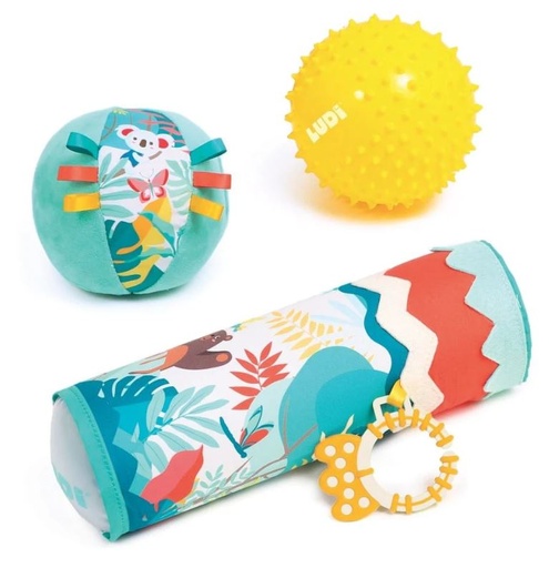 [36230076] CONJUNTO ROLLER Y PELOTAS