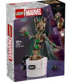 [22576297] GROOT BAILARIN