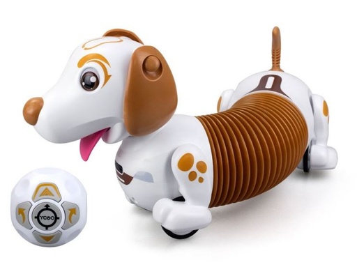 [03504944] ROBO DASH SURT.